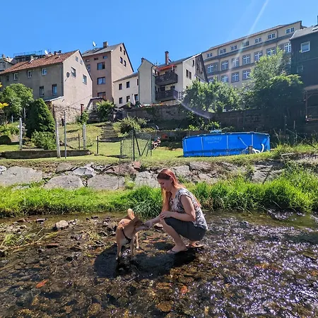 Apartment Helle Fuer Familien Und Gruppen Mit Pool, Sauna & Terrasse *